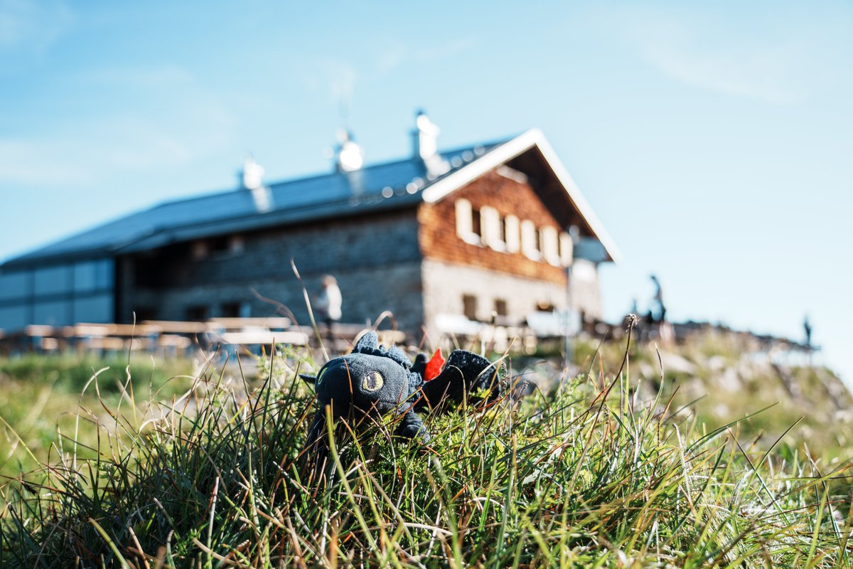 BluePixel2017's tweet image. Some photos of my recent cabin tour in the mountains with my father and sister.

-It was by far the most physically and mentally taxing one i've done yet, but the views of nature and wildlife made it all worth it! #alps #austria #photography