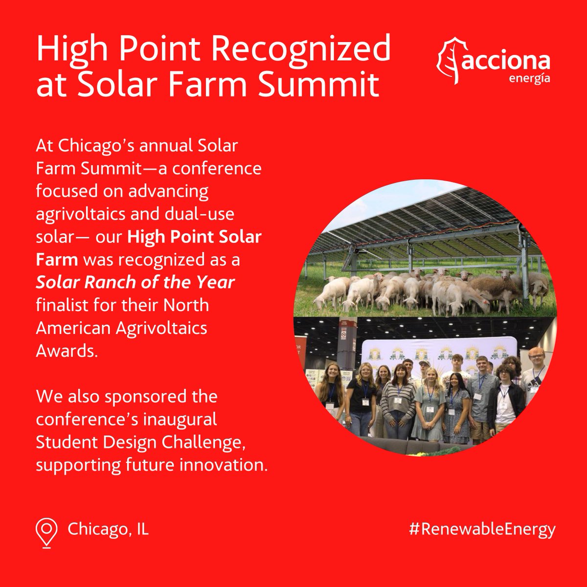 ✨ It’s time for our People Recap! 

In August, the #ACCIONAteam embraced summer with team outings, strengthened connections through employee-led events, and celebrated our amazing summer interns as they wrapped up their journeys with us. 

What a month for teamwork and growth!