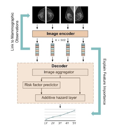 Radiology_AI's tweet image. Explainable AI pipeline demonstrated that Mirai implicitly learned to identify mammographic lesion features doi.org/10.1148/ryai.2… @KU_Leuven #BreastRad #DeepLearning #explainableAI