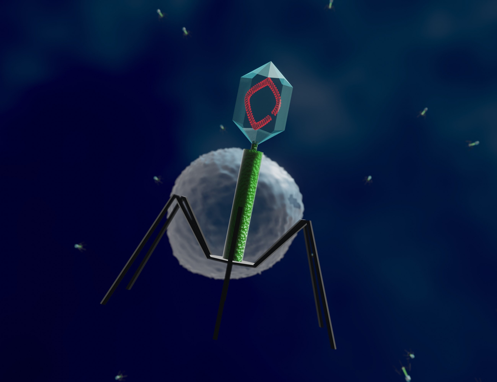 NexaBiome (@nexabiome) on Twitter photo Did you know #phages can destroy even some of the most resistant superbugs (World Health Organization)? 
One example is C. diff, which causes severe diarrhoea & colitis. Unlike antibiotics, phages kill C. diff without harming beneficial gut bacteria. Did you know #phages can destroy even some of the most resistant superbugs (World Health Organization)? 
One example is C. diff, which causes severe diarrhoea & colitis. Unlike antibiotics, phages kill C. diff without harming beneficial gut bacteria.