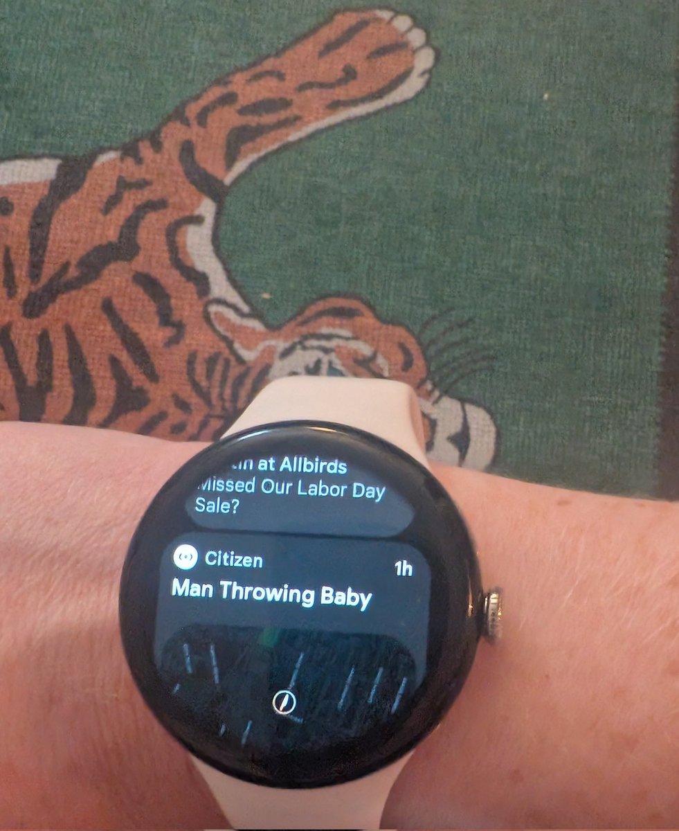 ChloeCondon's tweet image. Never a dull moment in the Bay Area