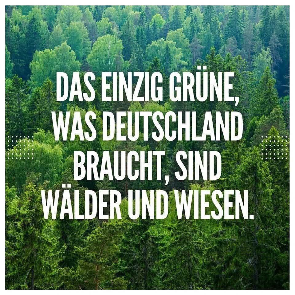 Chip Heusinger (@stratochopper) on Twitter photo #Grün #Grün