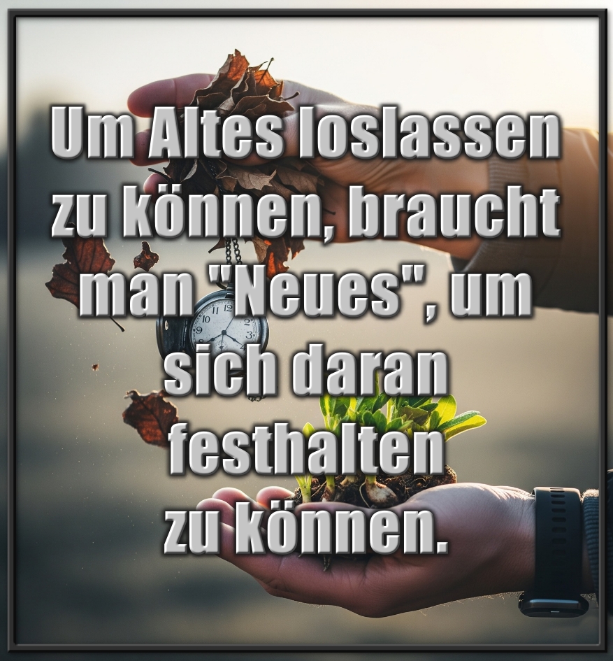 Um Altes loslassen zu können, braucht man "Neues", um sich daran festhalten zu können.