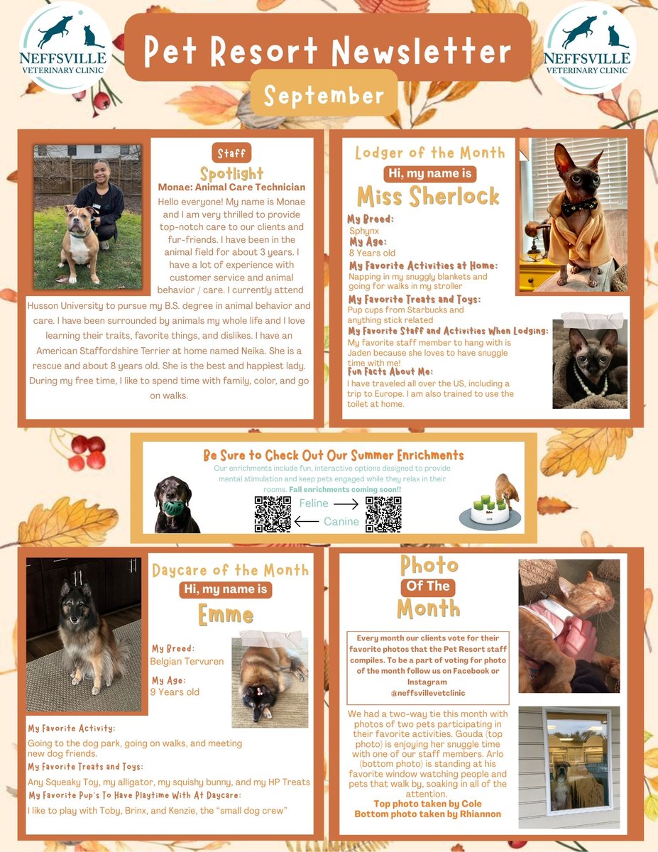 NeffsvilleVet's tweet photo. September Newsletters
https://t.co/5VA2cs7QH3 https://t.co/WX3AwQfp3n