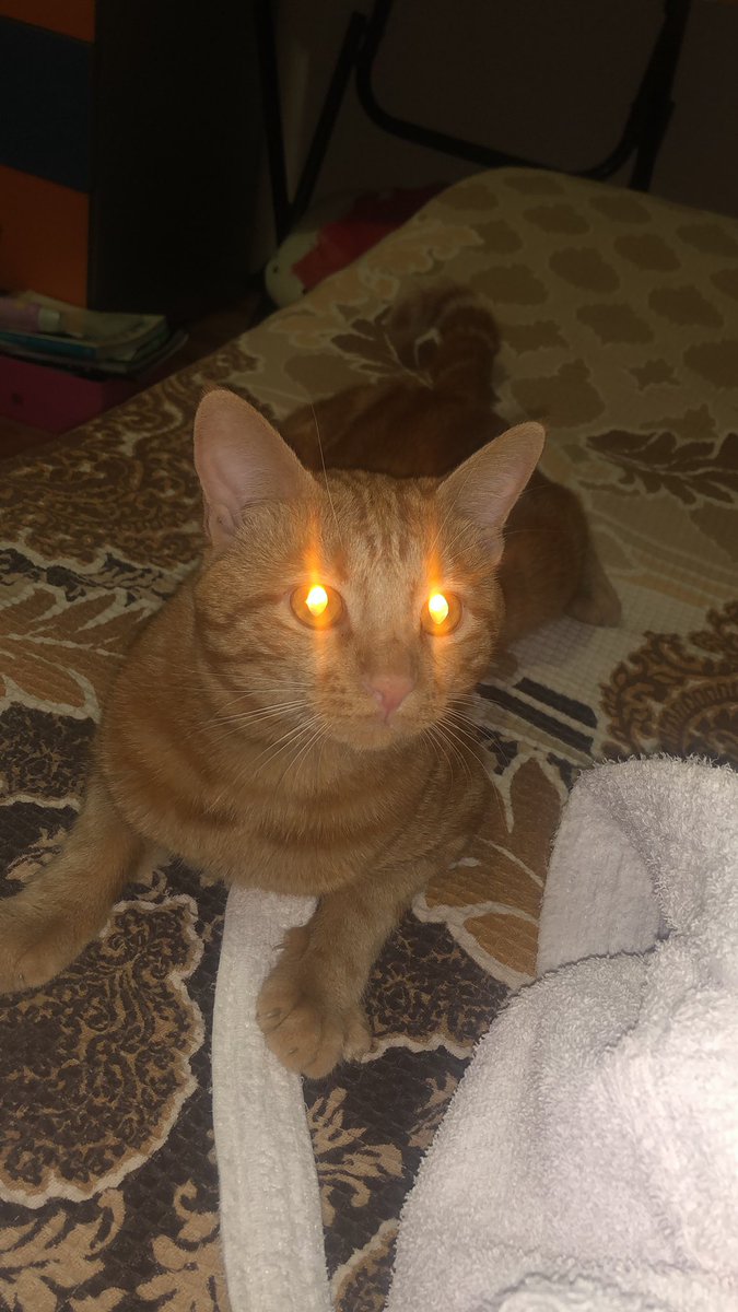 <a href="/minnos_oglan/">Minnoş Oğlan</a> Yalam oldunu düşünüyoru