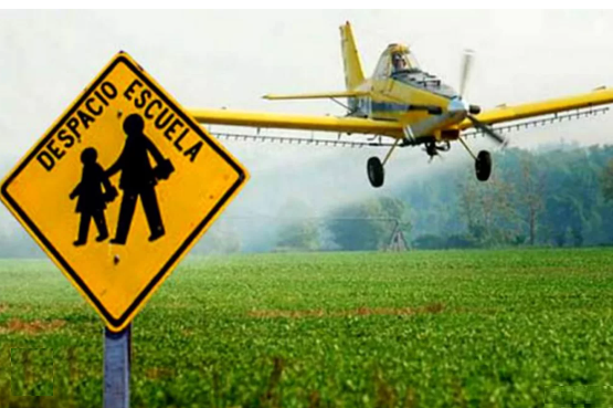 TanqueShirley's tweet image. 🧵Vamos a hablar sobre Glifósato y sobre el problema que implica para Uruguay y la región, con especial énfasis en ese monstruo llamado Monsanto, pasen, que leer no muerde