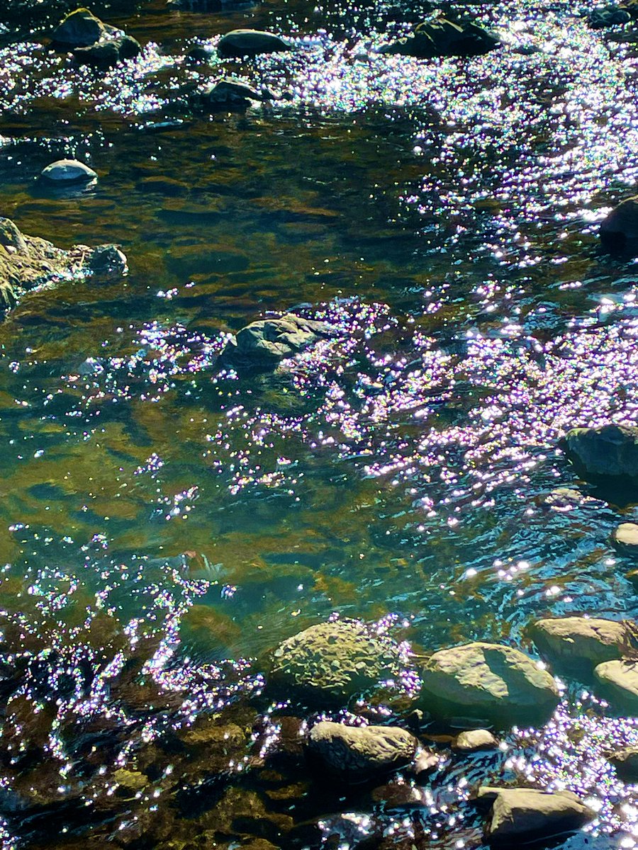 《心の景色》

好きという気持ち
強いほど
切なさ強くなる

上手くいかない日ほど
たった一言の「大丈夫だよ」に
すっと心が癒される

寂しさと喜びは
同じ心の
ウラオモテ

川面で踊る
光のように

ウラとオモテが綾になり
心の景色を描いてる

どんな景色も

いまここにある
命のきらめき