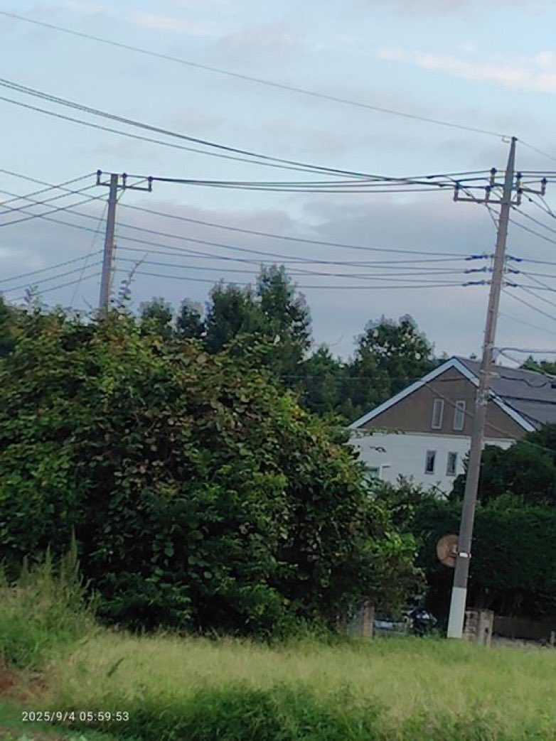 今朝は確認出来ているようです。