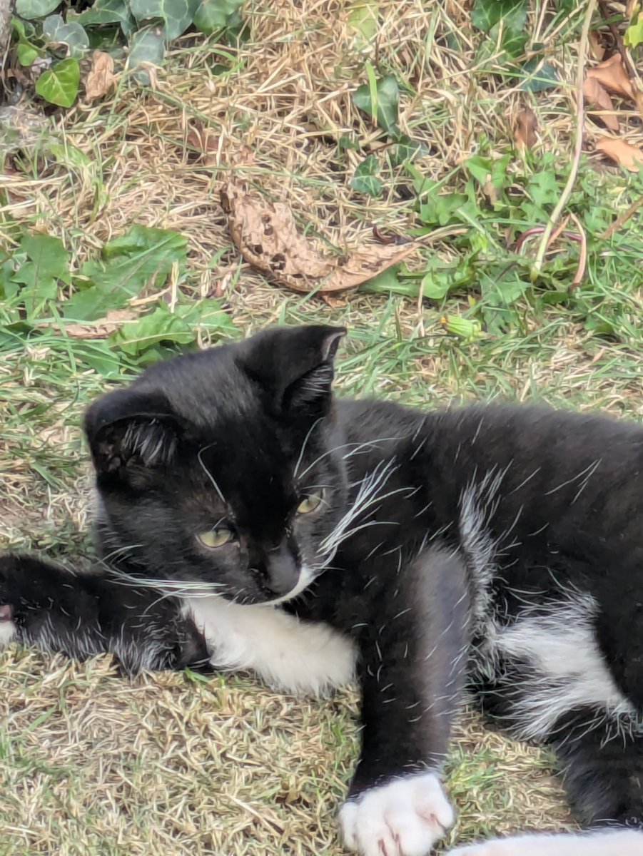 Live now

Sf6 ranked 

2XKO waiting room 

Link in bio ❤️❤️❤️