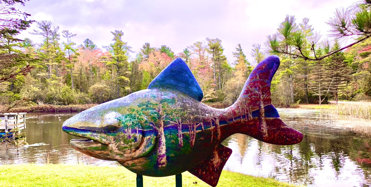 Mitch and Marcy (@mitchandmarcy) on Twitter photo <a href="/DailyPicTheme2/">Daily Picture Theme</a> Something’s #fishy at the #YoungStatePark #pond in #BoyneCity #PureMichigan.
🎣 📸 #mitchandmarcyphotos
#DailyPictureTheme #StatePark
#fishing <a href="/DailyPicTheme2/">Daily Picture Theme</a> Something’s #fishy at the #YoungStatePark #pond in #BoyneCity #PureMichigan.
🎣 📸 #mitchandmarcyphotos
#DailyPictureTheme #StatePark
#fishing