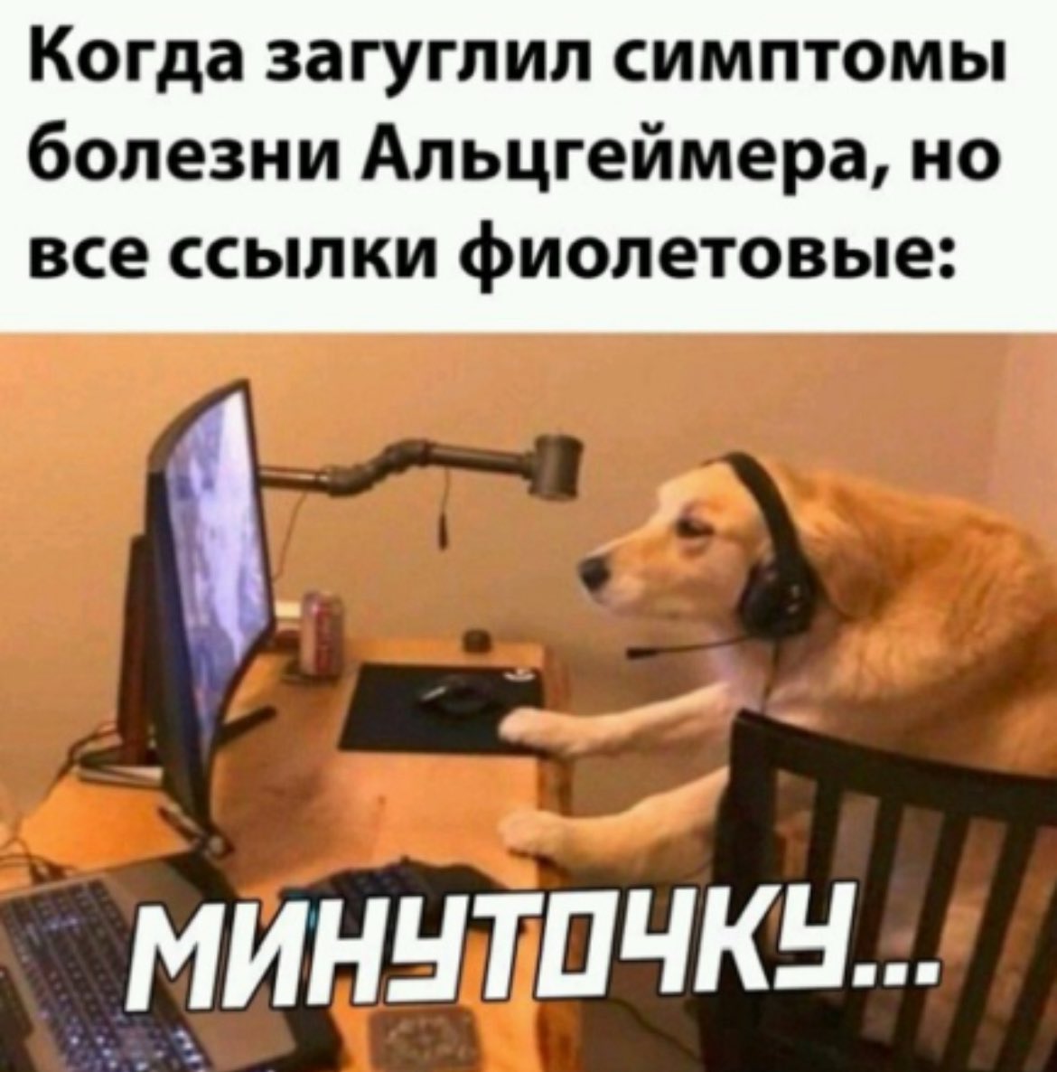 ужасные мемы (@liltonder) on Twitter photo 