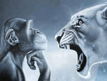 aiko 🪶 (@robutofu) on Twitter photo 