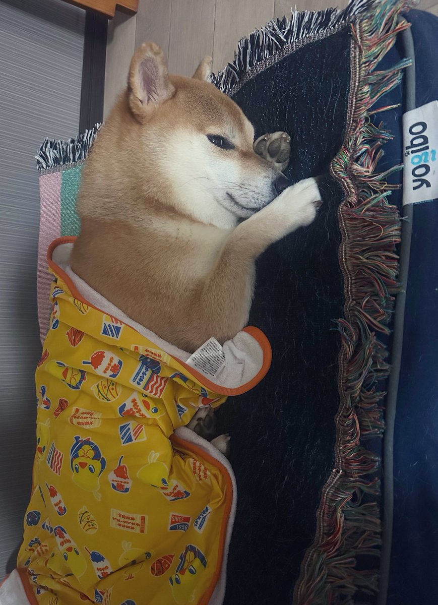 🥱💤
