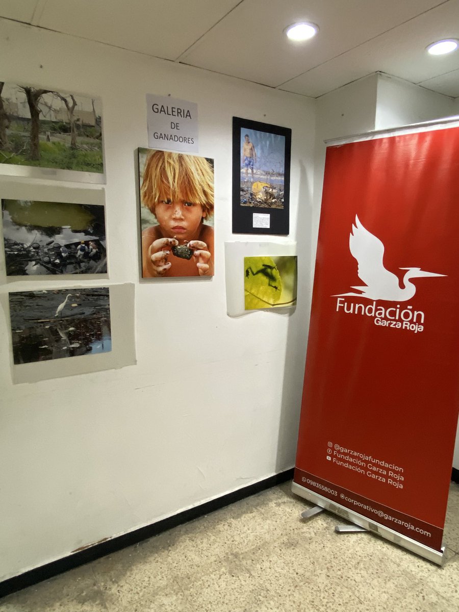 bejarano16958's tweet photo. "Voces de Libertad: Exposición Fotográfica del Colegio de Periodistas del Guayas y el Centro Cultural Garza Roja, con Premiación Final en Nobol"….                    #cultura #fotografia #garzaroja https://t.co/eRSOcDL6VC