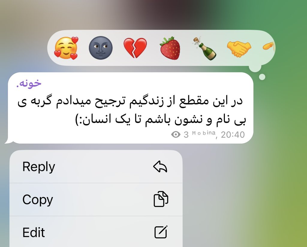 خانمِ لورِنا. tweet media