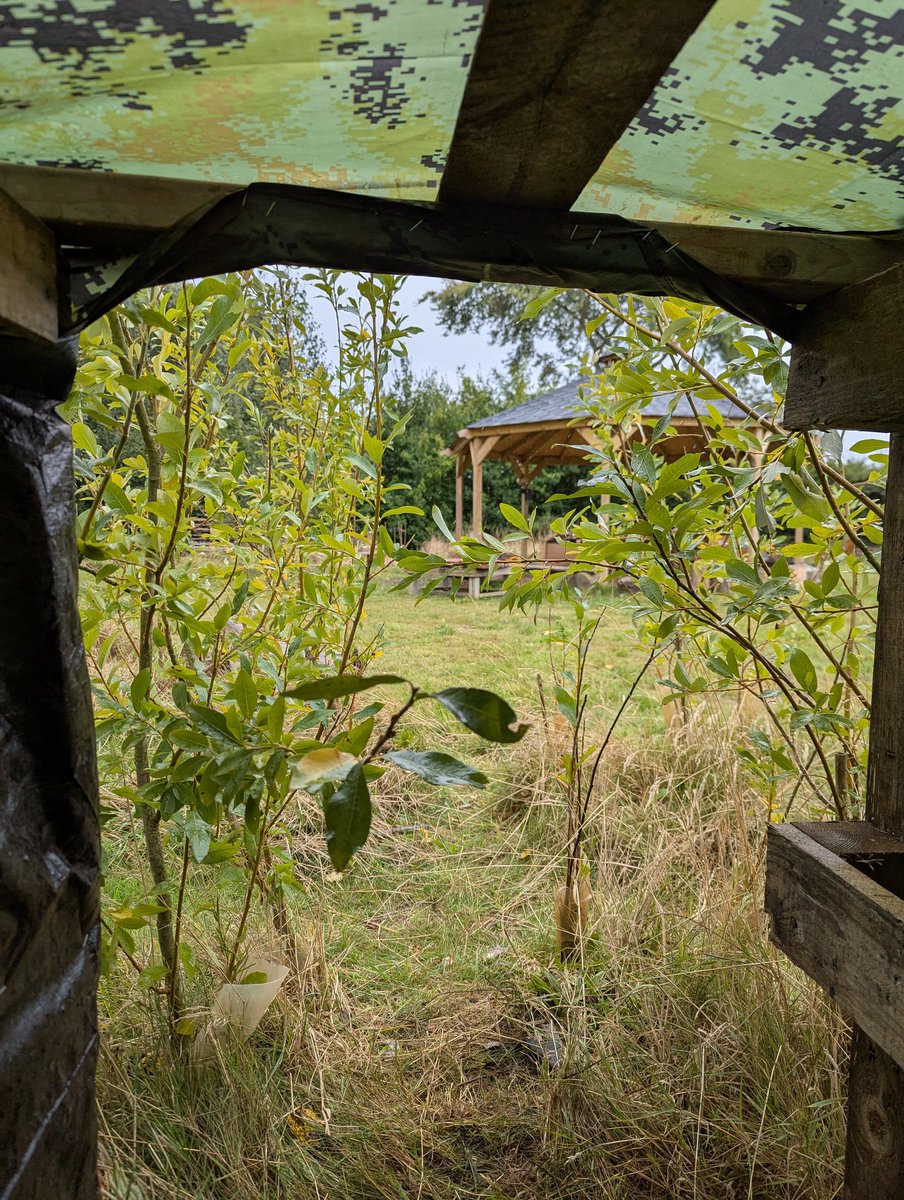 leeks_dan's tweet image. Busy day again today. Sorted a proper wildlife area and built a small shelter for the children to sit in and observe Forest School. Oh, and more tidying, clearing and cutting back🌳🌳