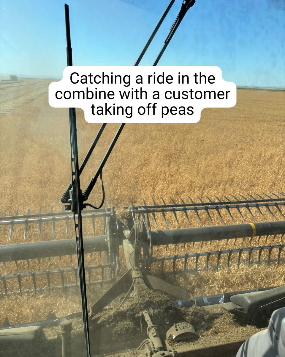 Harvest season photo dump! Swipe through and check out what we’ve been busy with. 📸

#albertaharvest #harvest25 #albertaag #warner #lethbridge