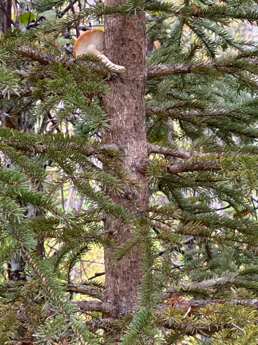 What’s happening here?