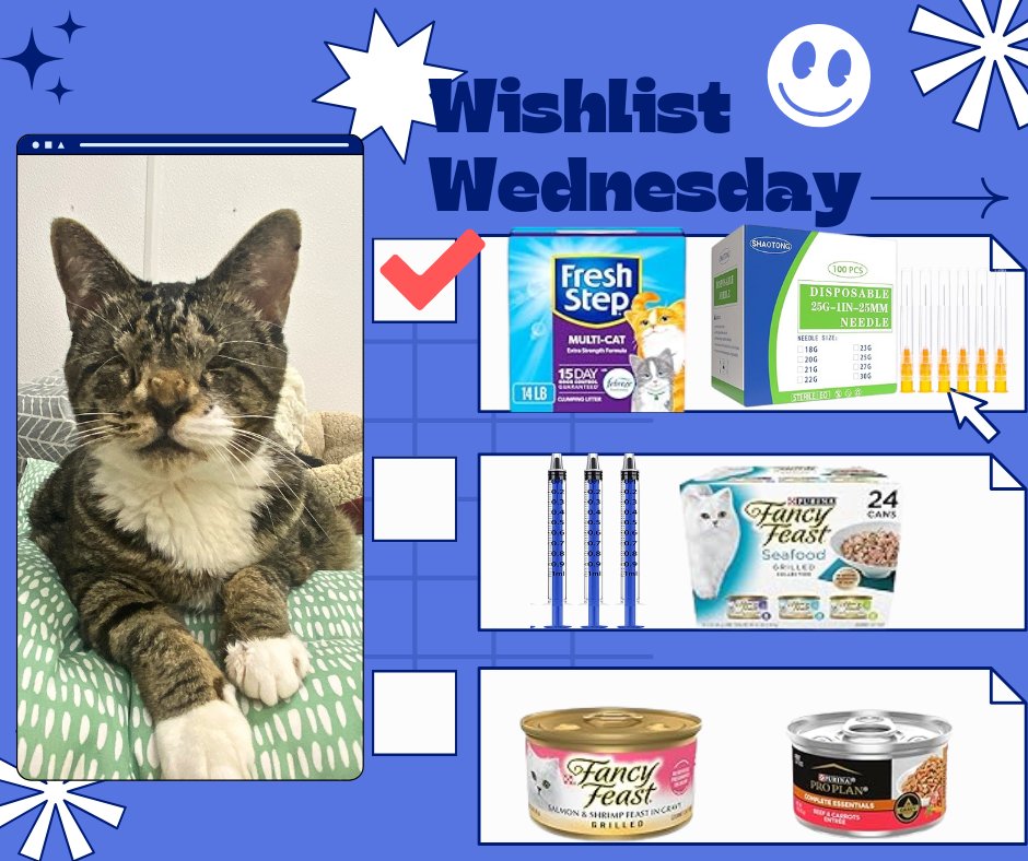 It's Wishlist Wedensday! Please consider helping the blind, FIV &amp; FeLV+ cats at BCR by purchasing something from one of our wishlists! 😺🐾
Amazon: a.co/f5m548Q
Chewy: bit.ly/2UU2Vxf
Target: bit.ly/4bYSrn3
Walmart: bit.ly/3fIY6BX
Thank you so
