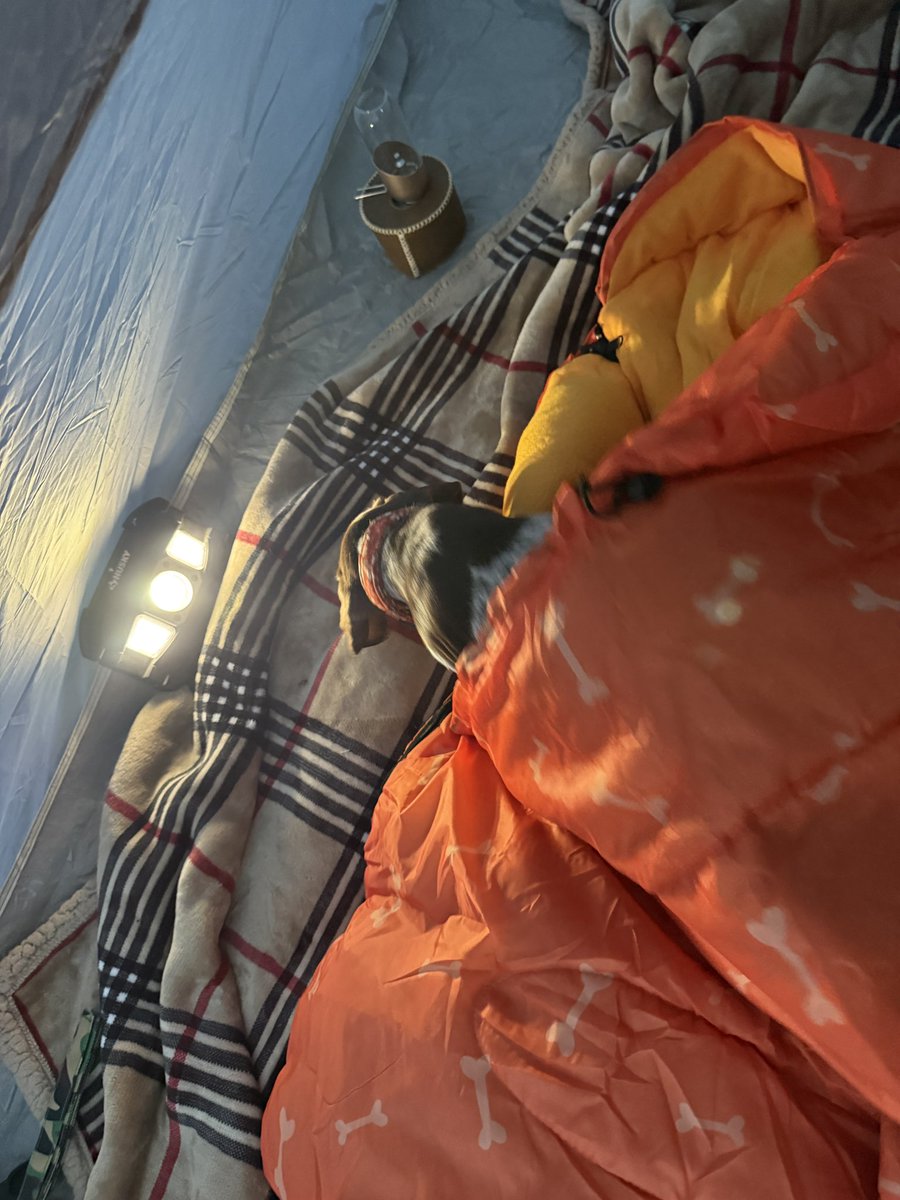 MeganRuthxx's tweet image. Mercy Mabel,  I still can’t believe you happened … spent our first time together on the beach and then camping couldn’t ask for more. Michigan state you are beautiful forever grateful. #GermanShorthairedPointer