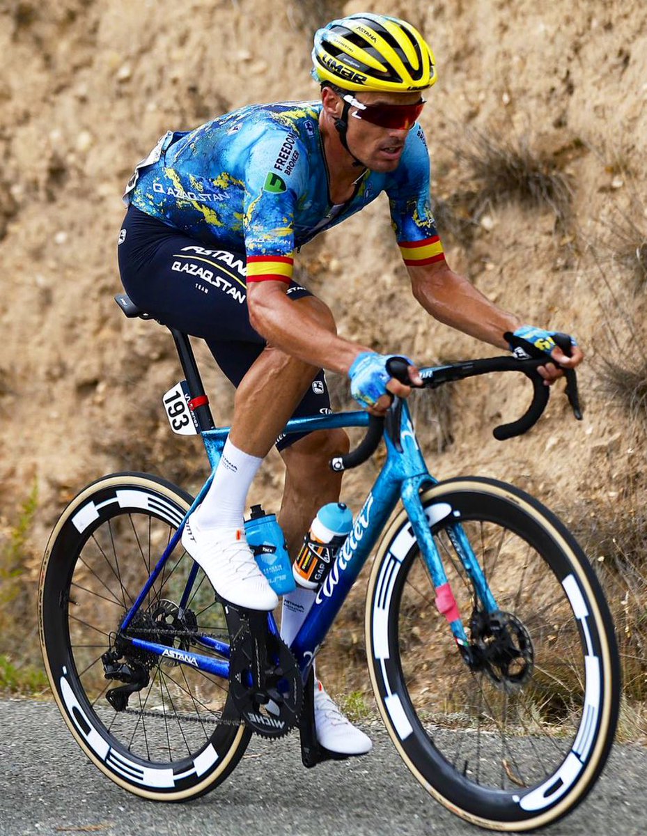 Aleix Serra tweet media