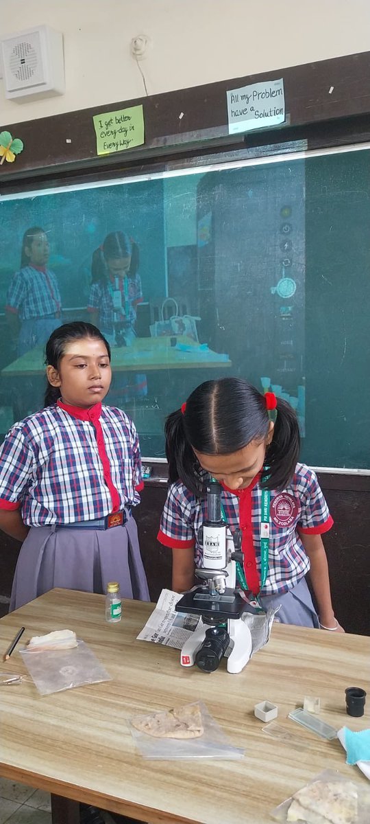 kv2colabamumbai's tweet image. Little children became Microscope Detectives: Cracking the Case of Mystery Foods! 
Activity by primary kids

#STEM #Scienceisfun 
@KVS_HQ @KvsMumbai @EduMinOfIndia