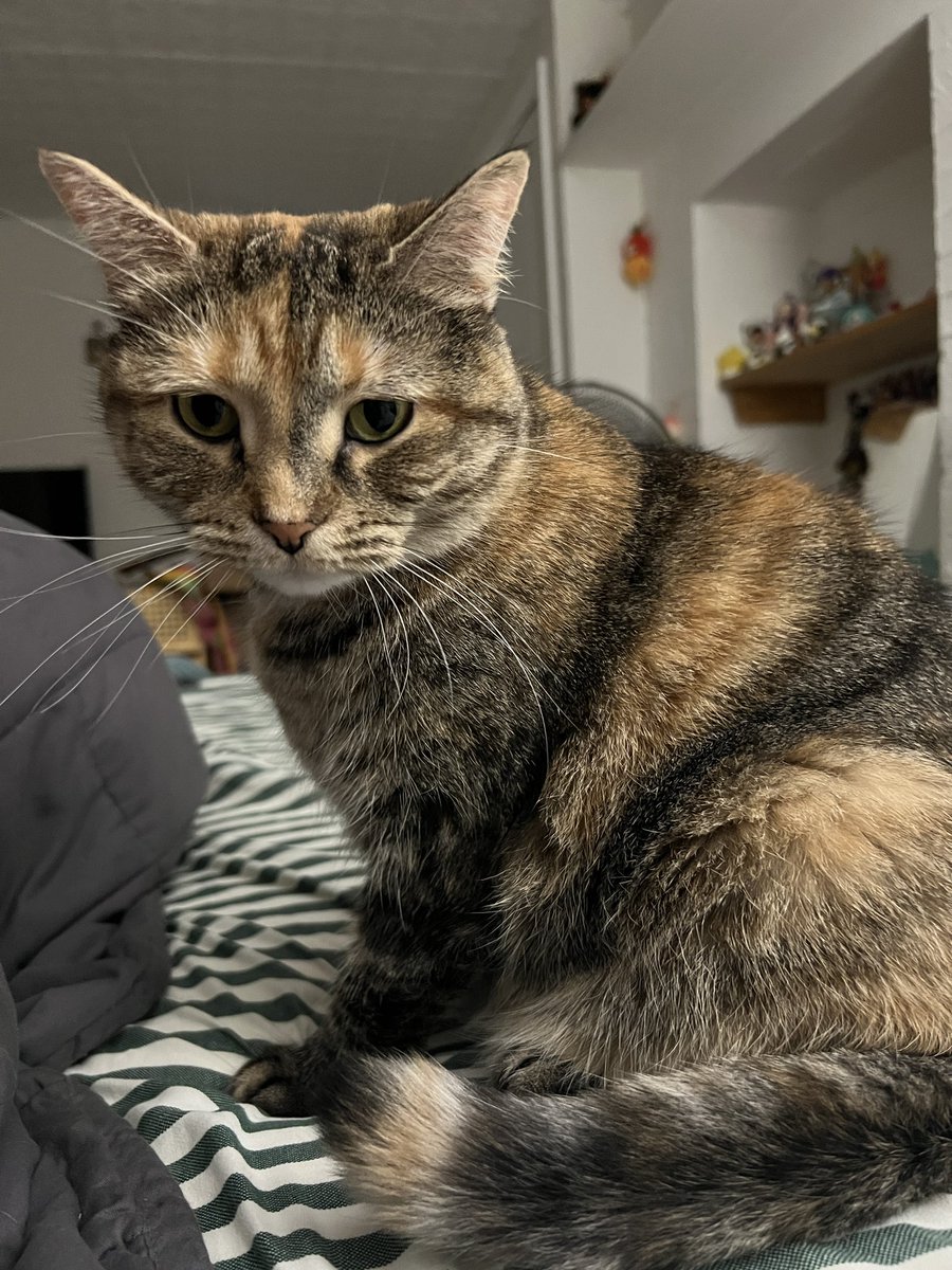 shes using mind control to trick you into giving her 15 churus