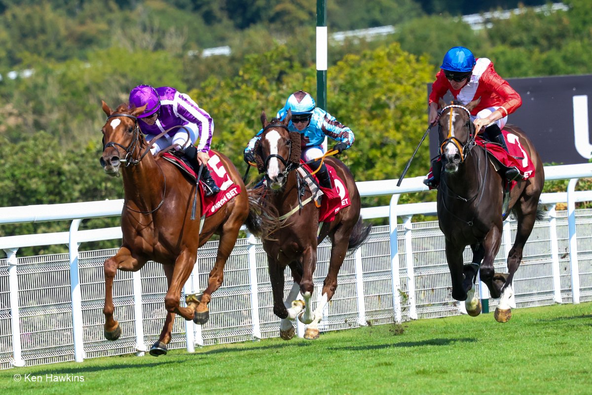 Ken Hawkins Racing Photography. tweet media