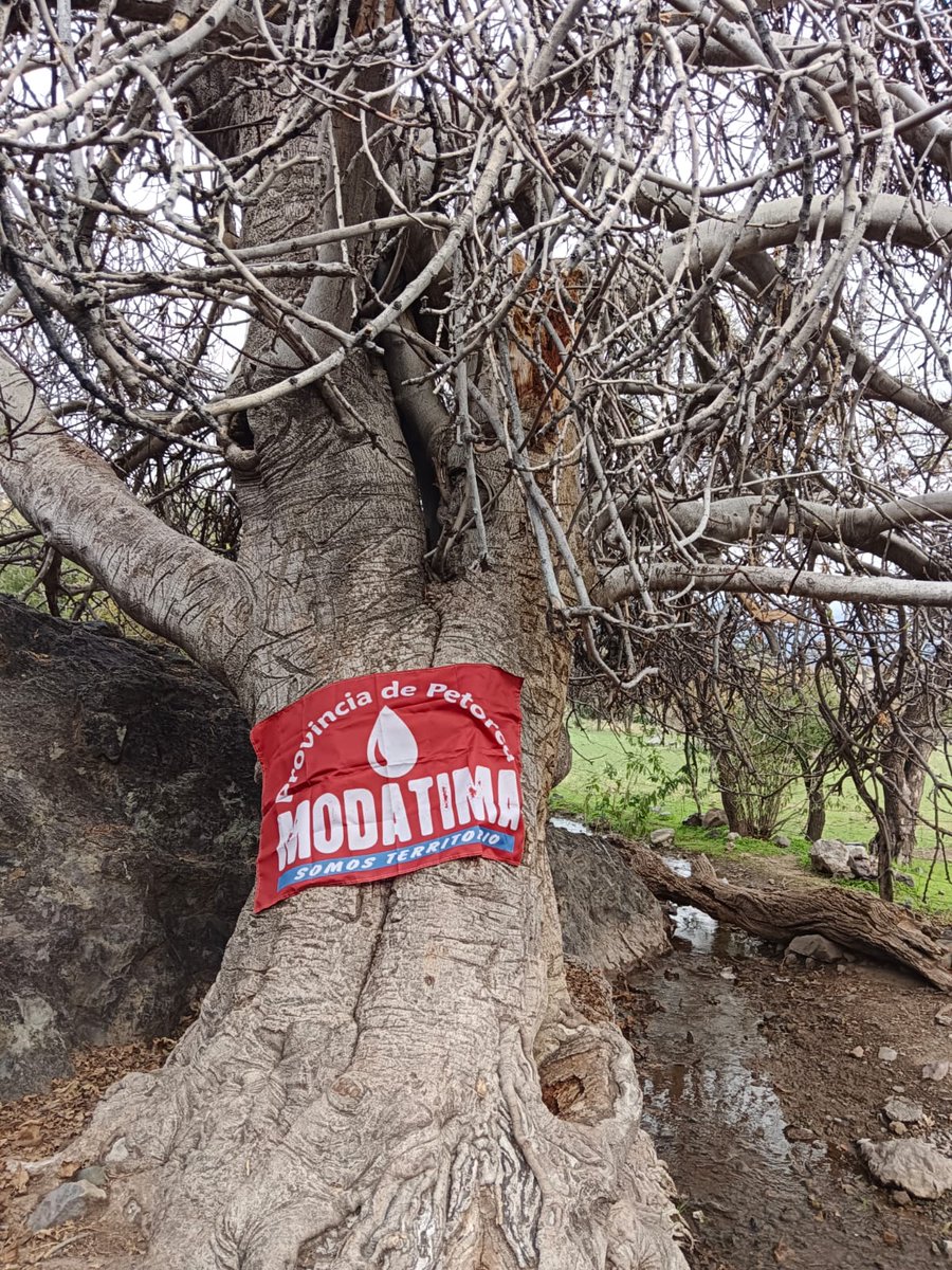 Modatima Provincia de Petorca tweet media