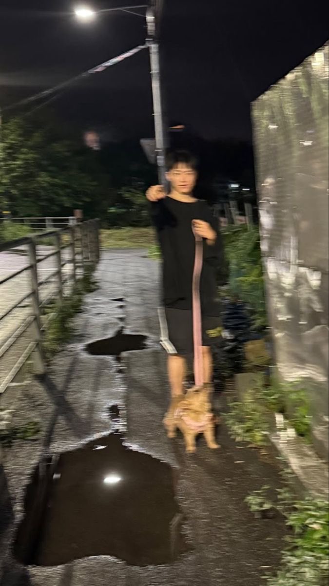 호시 ✭ (@ulthorangdan) on Twitter photo 