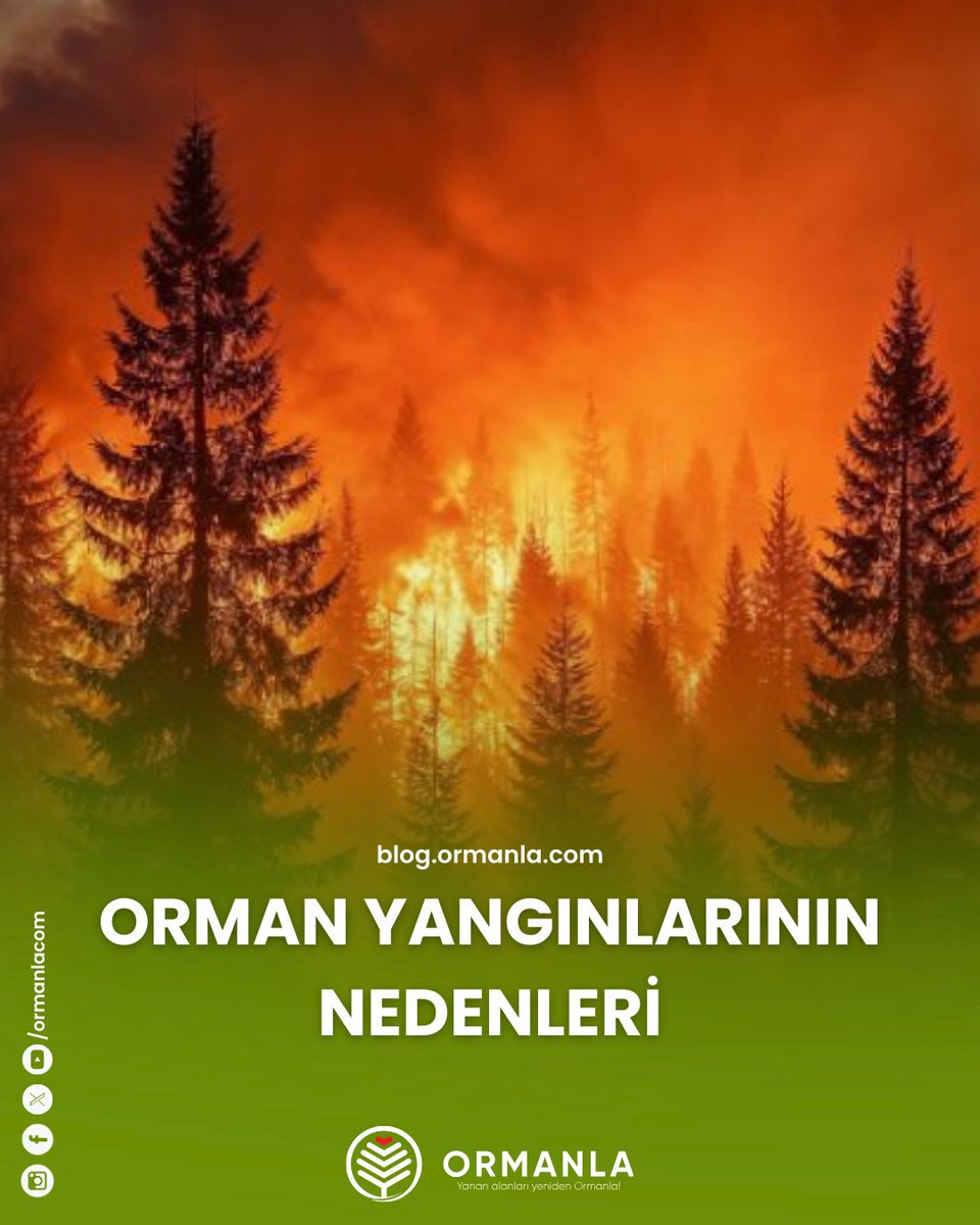 🌲🔥 Orman yangınlarının nedenlerini ve sonuçları
💚 Doğayı korumak hepimizin görevi!
🔗 Makaleyi okumak için, blog sayfamızı ziyaret edin: blog.ormanla.com/orman-yanginla…