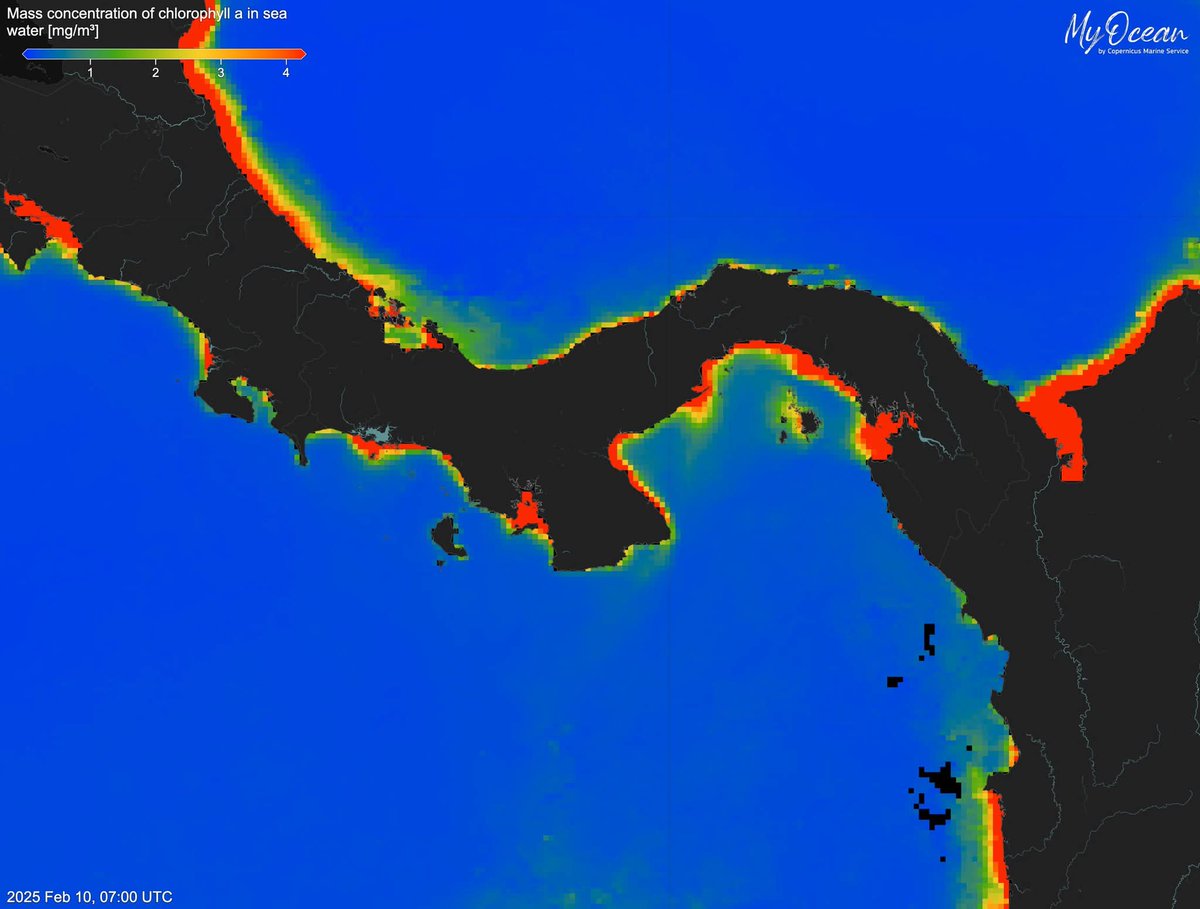 Por primera vez en 40 años, las aguas frías y ricas en nutrientes del Golfo de Panamá no surgieron durante la estación seca.
El fenómeno natural del afloramiento, que acontece todos los años en el Golfo de Panamá, no sucedió por primera vez en 2025. Un estudio liderado por