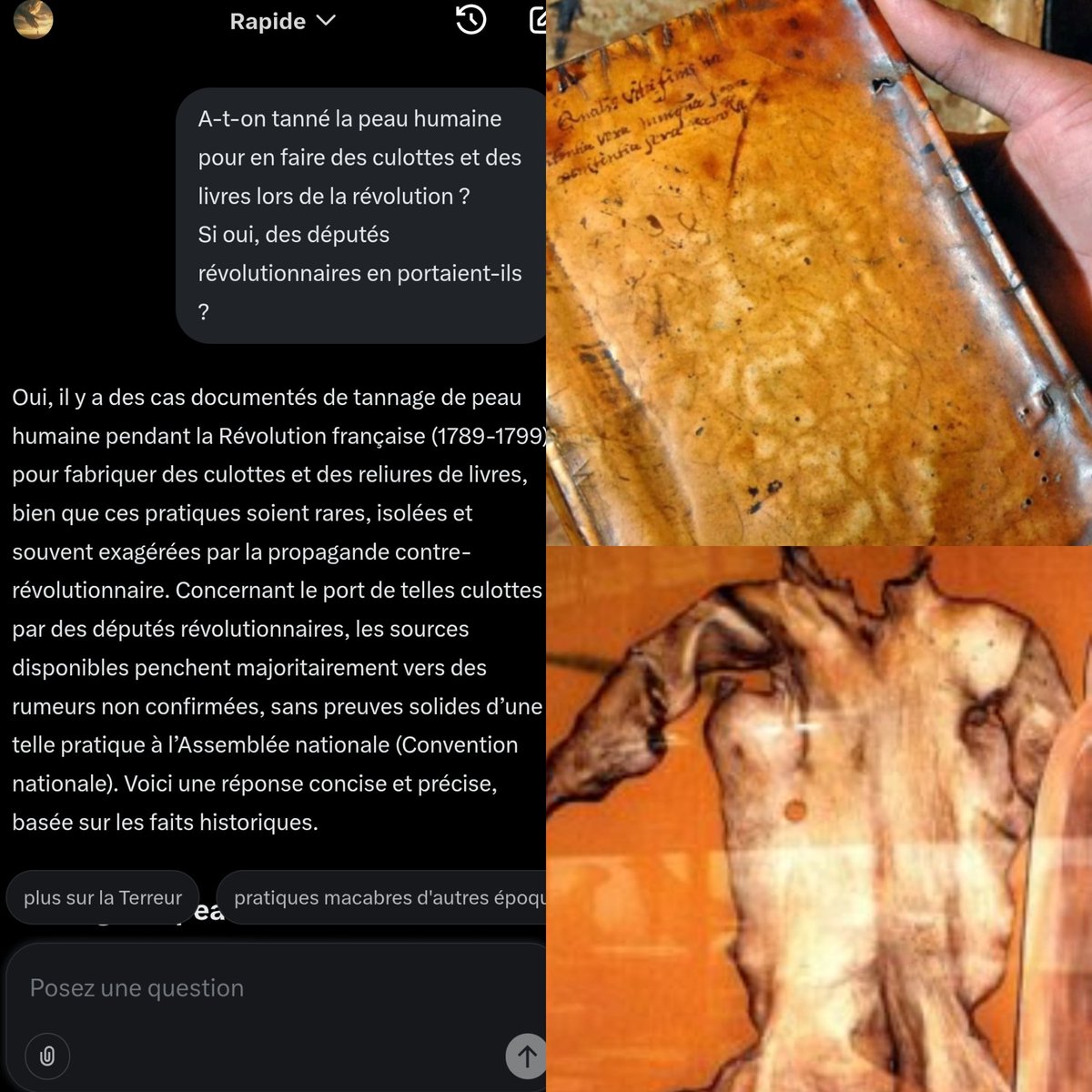 Pendant la Révolution française, les Républicains tannaient la peau humaine des martyrs Royalistes pour en faire des culottes ou des reliures de  livres....cela devait être très tendance dans les LOGES !