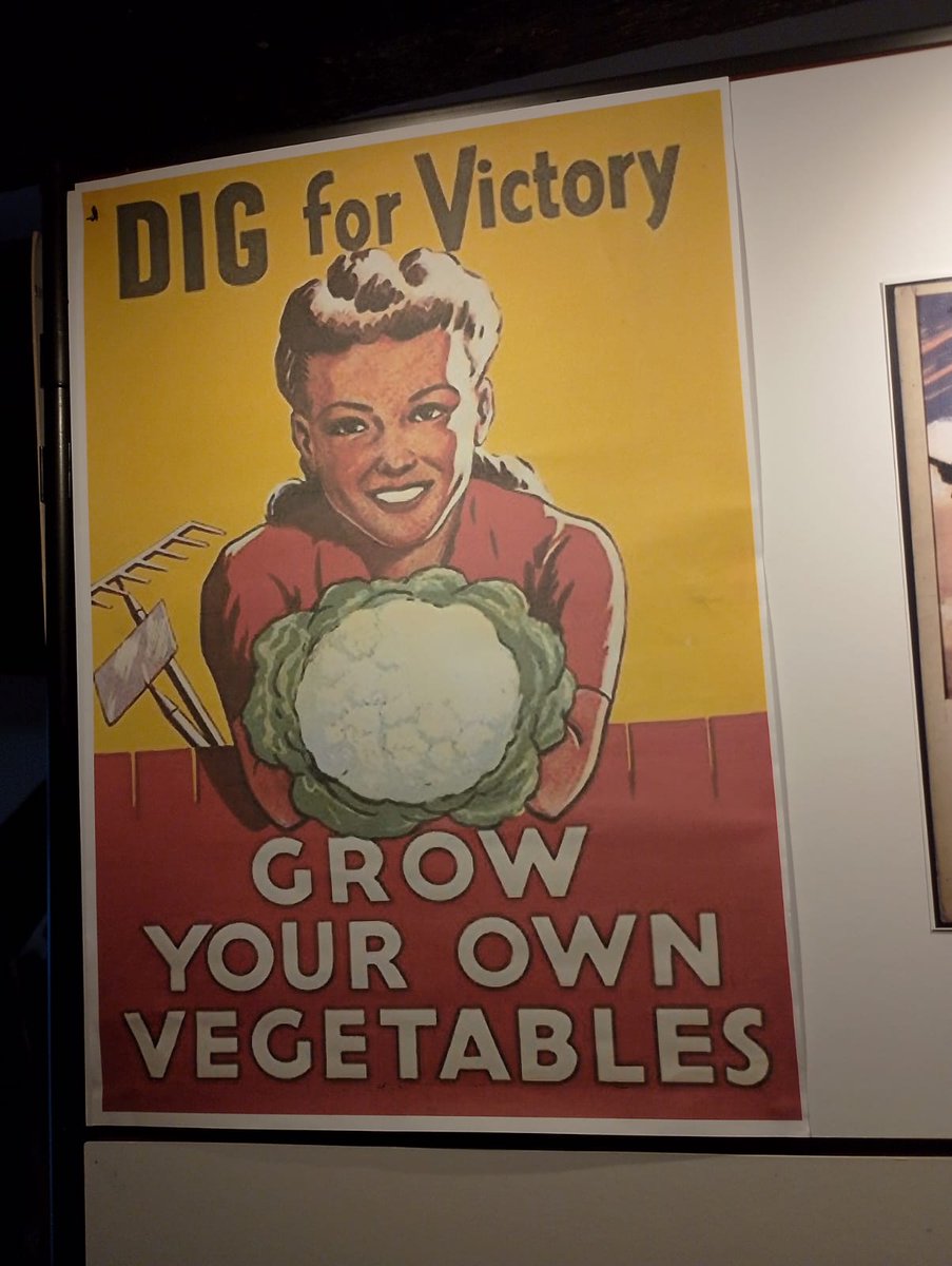 KingJohnHuntingLodge tweet media