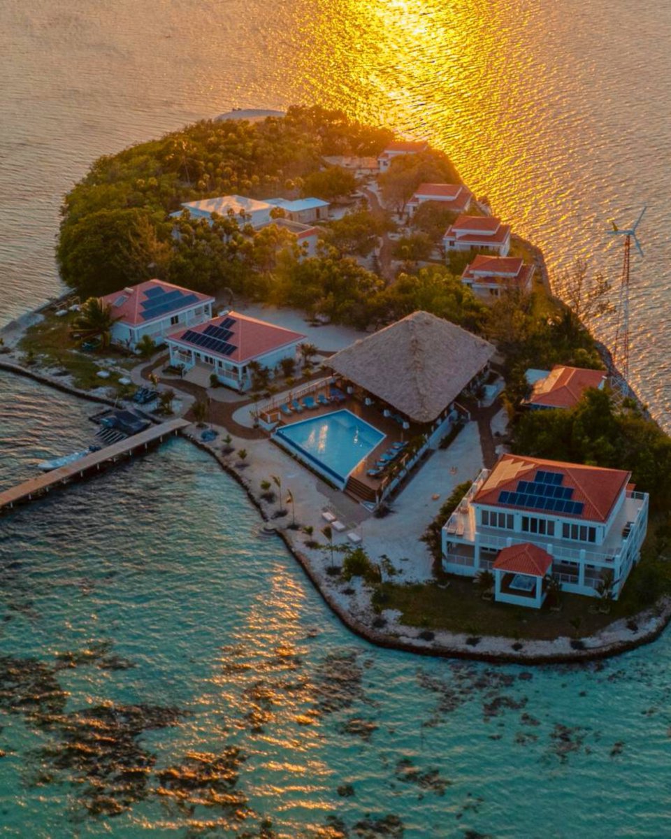 Gecko Vacation Rentals tweet media