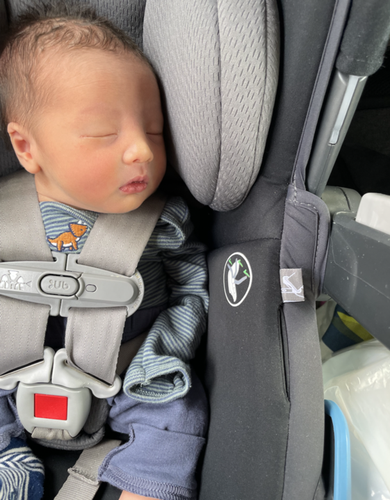 Bradford Huber tweet media