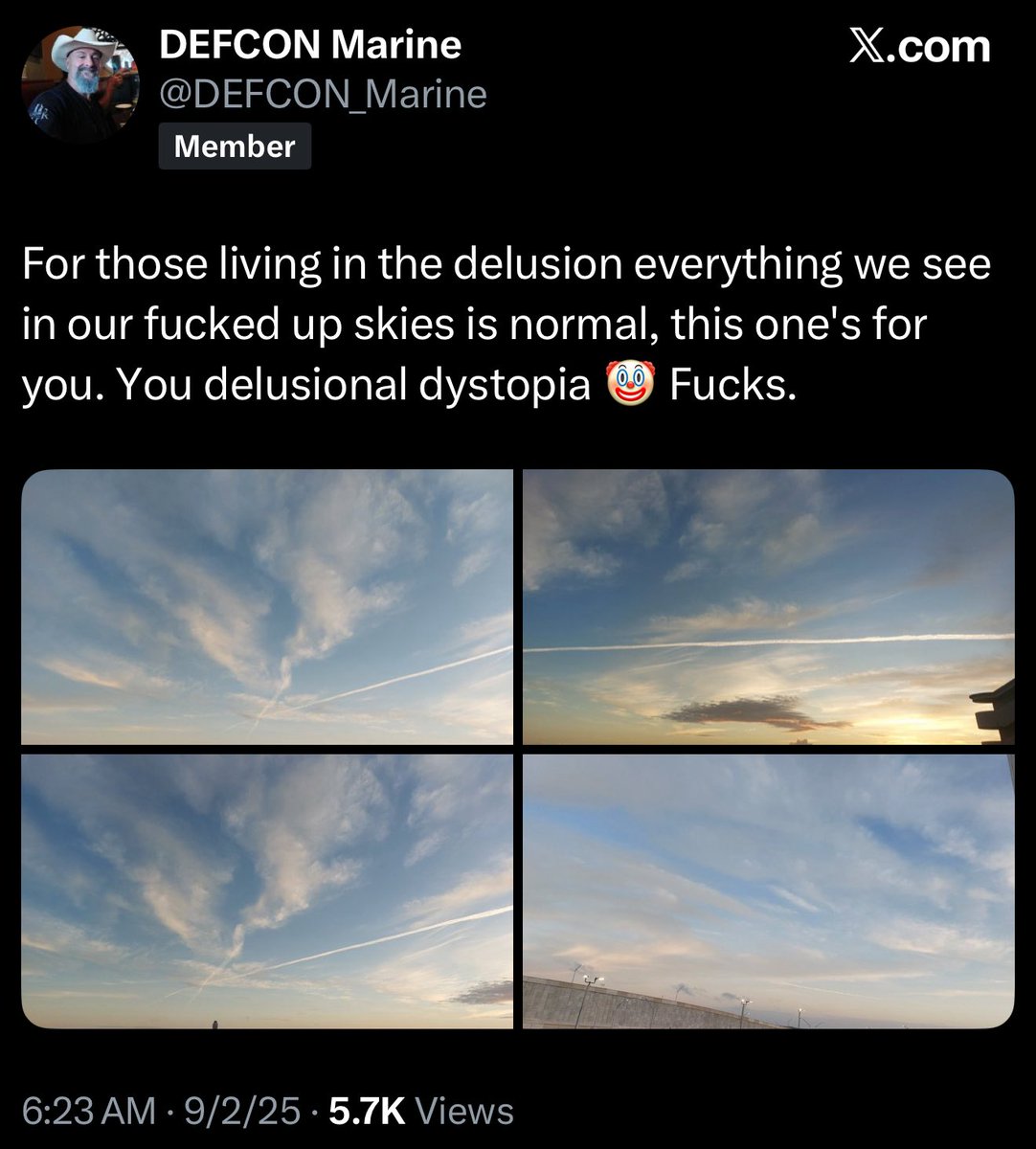 Official Bad Weather Takes tweet media
