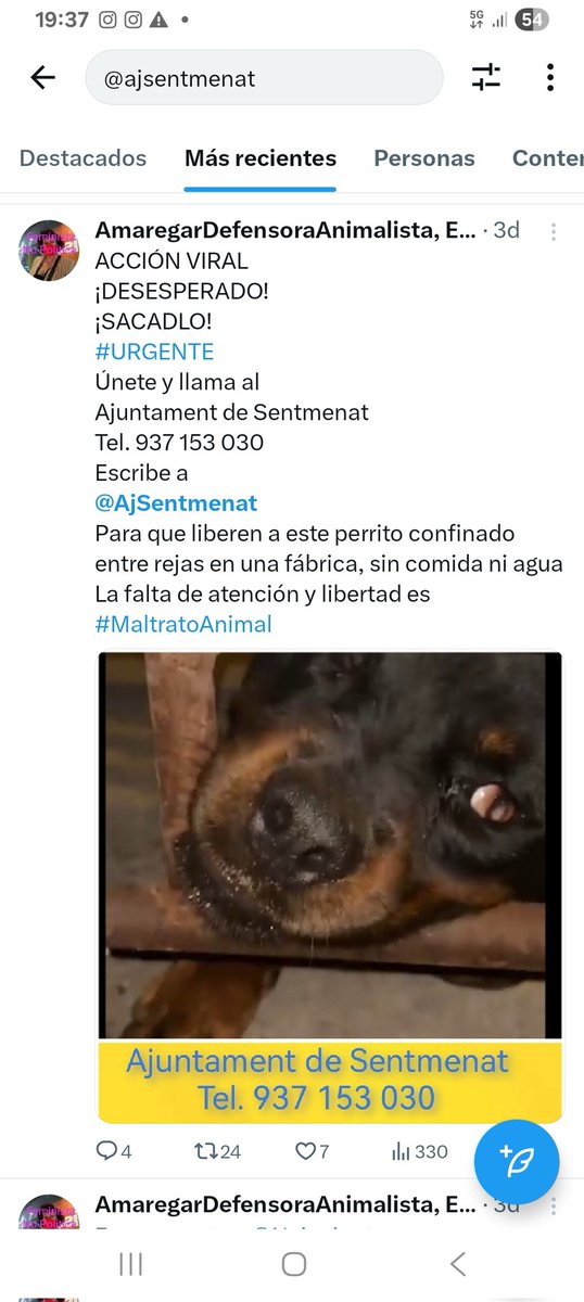 Éste és el email que me ha enviado el regidor de Bienestar animal del <a href="/AjSentmenat/">Ajuntament de Sentmenat</a> en referencia al perro que estaba en una fábrica en unas condiciones deplorables.Dice que són falsos rumores... <a href="/Neinei_art/">Nei Nei 🐱 De la colonia</a> <a href="/Erta2017/">Erta</a> <a href="/Gusit12/">Gusa 🐾☭</a> <a href="/MhefisT/">Mhefis Thofeles</a> <a href="/Veromaggi/">Verónica G. Portillo</a> <a href="/Nuriavg6/">Nuria</a> <a href="/_0_BOOOM_6996/">__BOOOM🟣🟣🔻🩵</a>