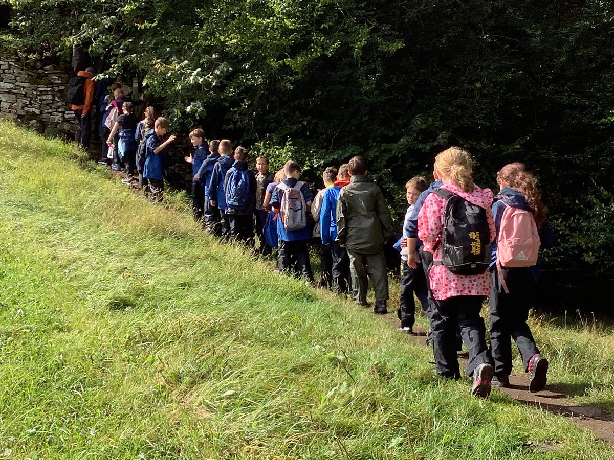 Staynor Hall Primary tweet media