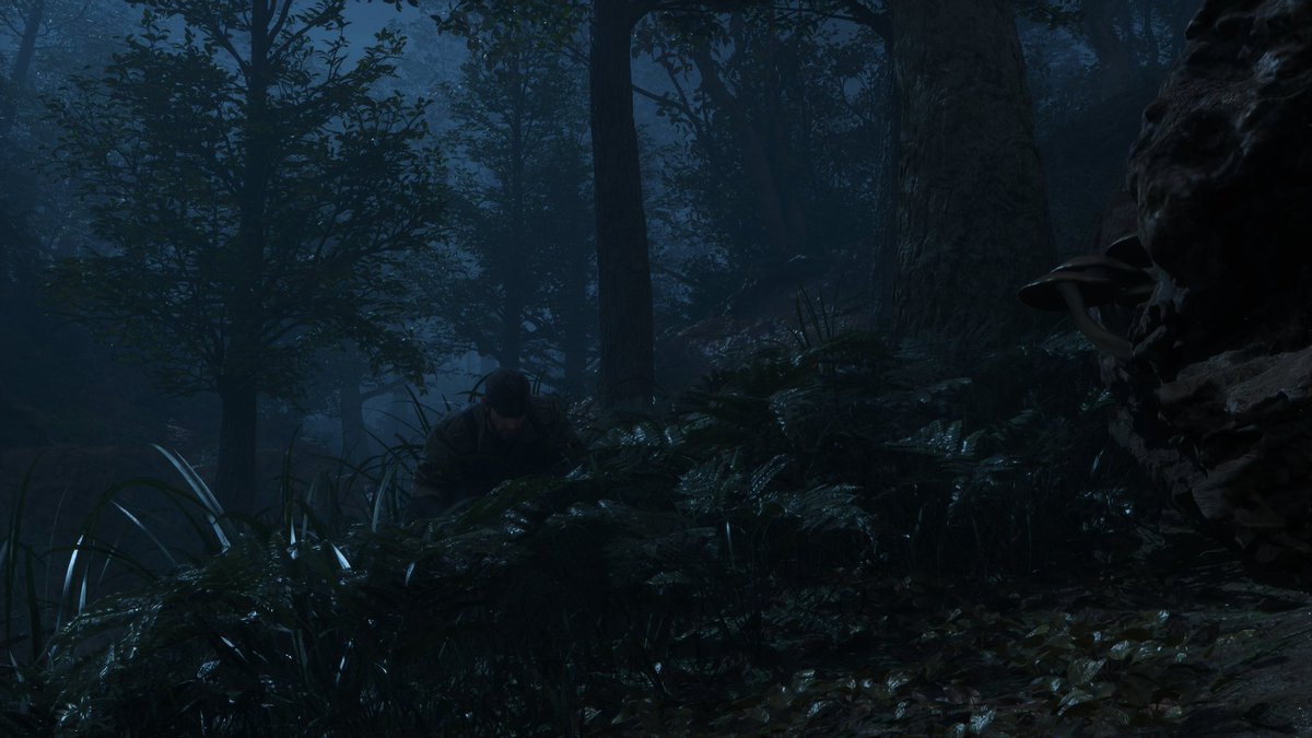 Visual Fidelity tweet media