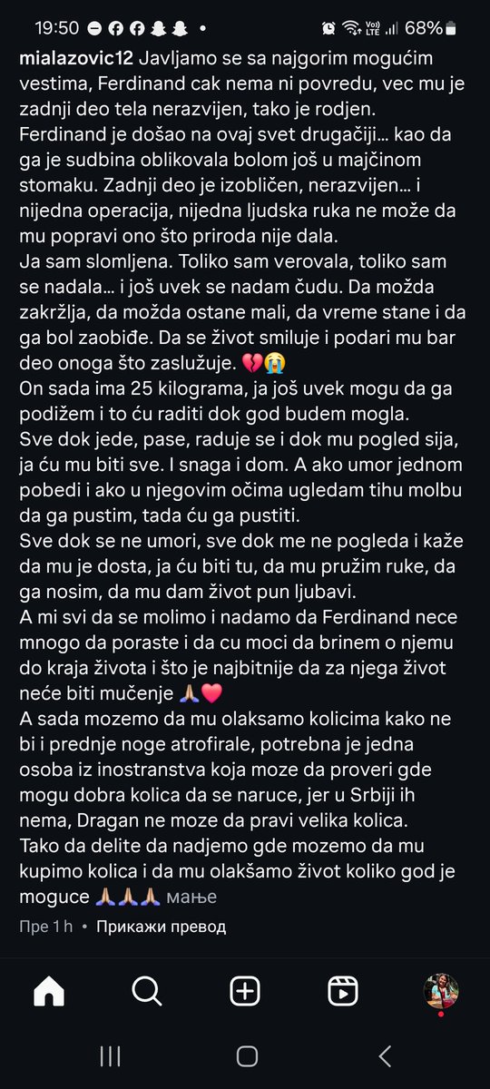 Molim vas drugari da pomognemo, mnogo me je potresla priča o Ferdinandu 💔😭❤️