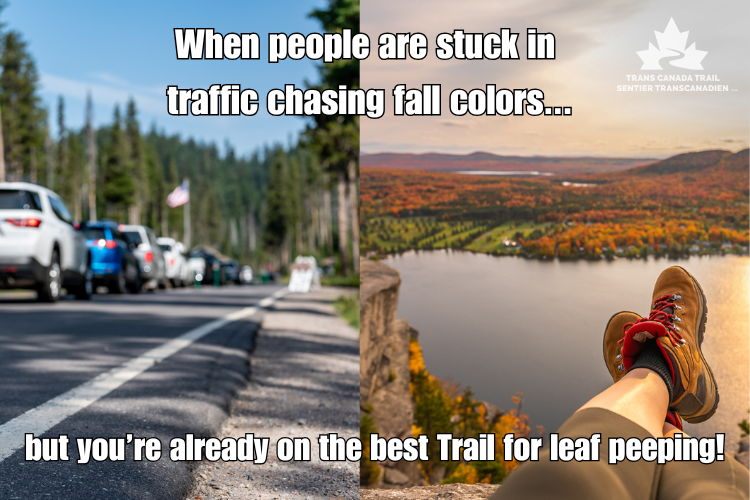 TCTrail's tweet image. Why fight traffic when you can escape into Canada’s most stunning fall trails? 🍁 Discover vibrant foliage, fresh air and peaceful trail sections right here on the @TCTrail all without the border hassle.

#TransCanadaTrail #ExploreCanada #FallColors