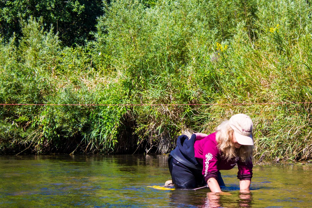 Openlands ecologists teamed up with <a href="/shedd_aquarium/">Shedd Aquarium</a> to monitor mussels in North Branch Nippersink Creek, a vital water quality indicator. Huge thanks to our dedicated volunteers! Discover more and plan your visit to Hackmatack National Wildlife Refuge: openlands.org/places/nippers…