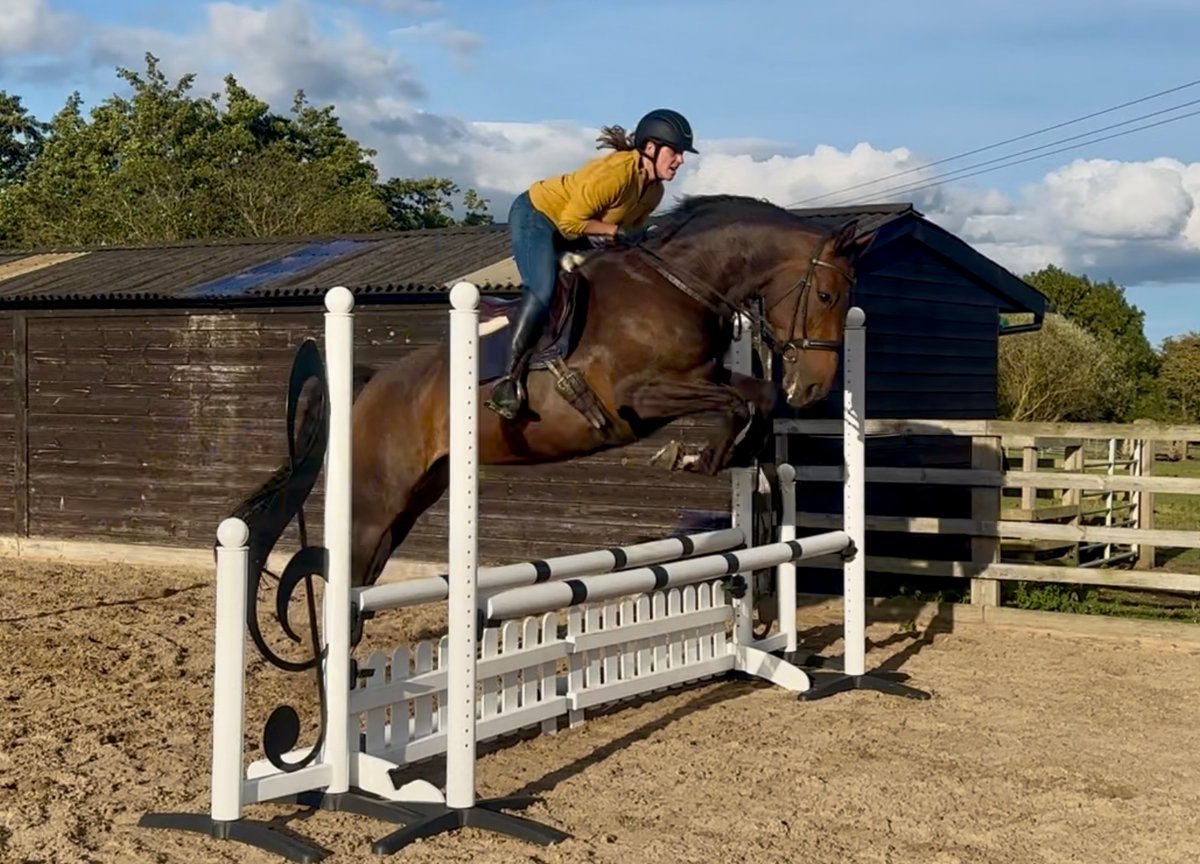 Nikita Jane Garner tweet media