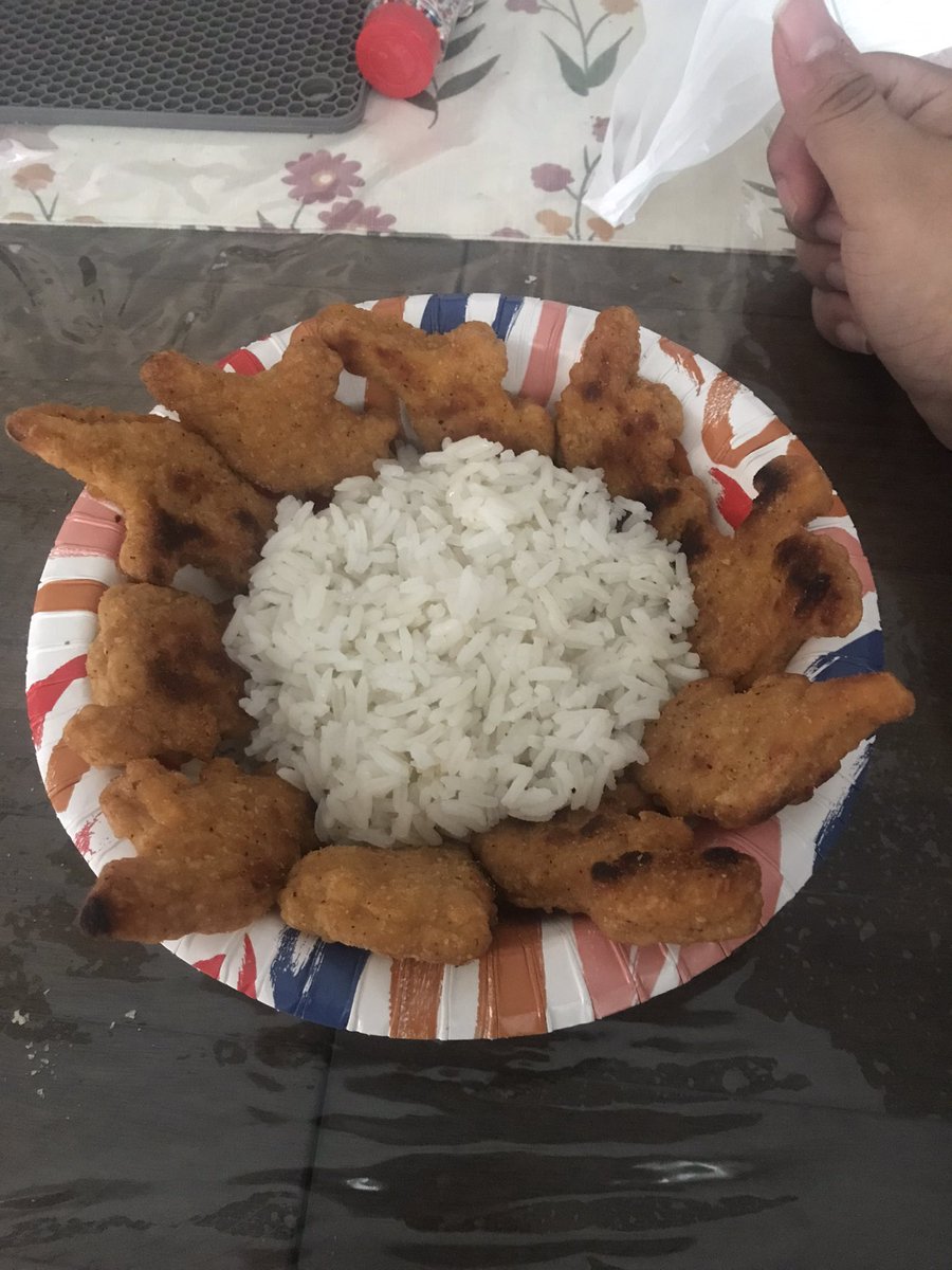 Y’all rate my food presentation 

I call it Dino rice