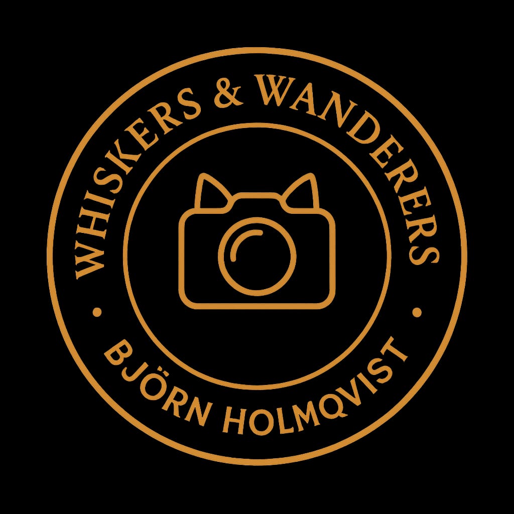 Help me help a friend of mine!
Support my GoFundMe &amp; claim a sexually loaded pic wish of me!📸 Shot by Whiskers &amp; Wanderers. 

gofund.me/a36d6798 

Add your @handle in the comment. Only verified donors get a wish. 

Check out his portfolio 🌍 whiskersandwanderers.myportfolio.com