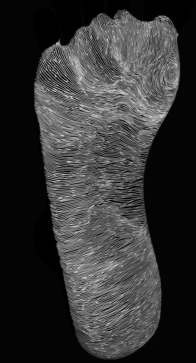 LeafyBush7's tweet image. The voices got the best of me...

I spent 5 days hand-drawing every nook and cranny of this foot. I only wanted to improve the roughness, but it didn&apos;t look good enough.
Those were the most soul-crushing days I&apos;ve ever experienced, but I think it&apos;s totally worth it

#sizetwitter