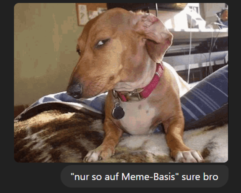 ich hab ChatGPT in der Hand