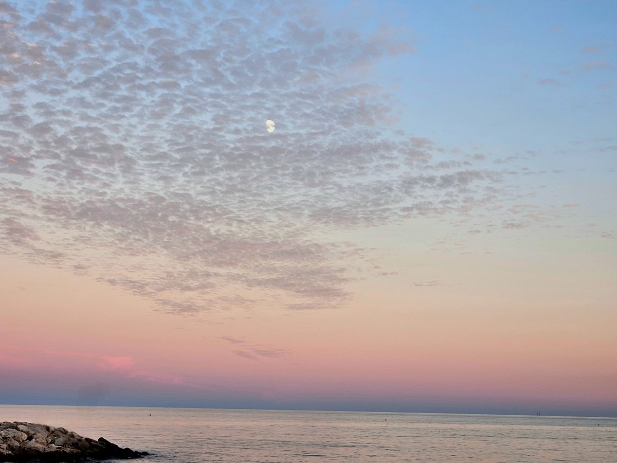 Nachtigall♡ (@risingsimorgh) on Twitter photo 