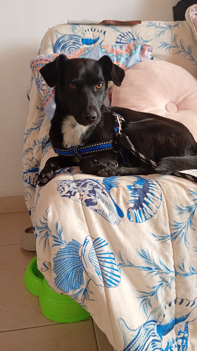 Chan (@boytoy92402869) on Twitter photo 